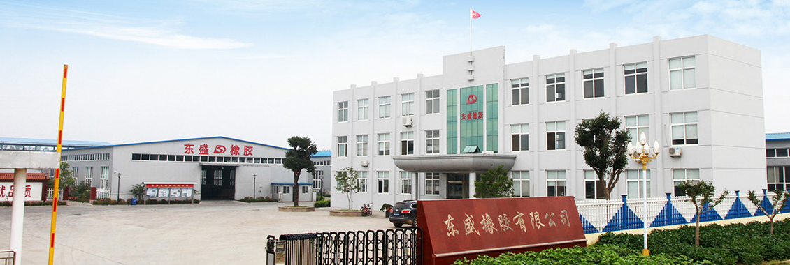 山東東盛橡膠科技榮獲技術創(chuàng)新示范企業(yè)殊榮