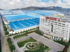 玲瓏輪胎半年度業(yè)績(jī)亮眼：營(yíng)收破百億