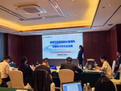 突破！湖南橡塑新型填料實(shí)現(xiàn)60%以上炭黑替代