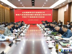 棗礦集團橡膠產(chǎn)業(yè)規(guī)劃論證會召開