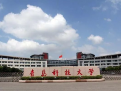 青島國家大學(xué)科技園碳納米環(huán)保輪胎技術(shù)實(shí)現(xiàn)突破