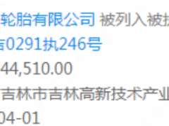 箭達(dá)天下（吉林）輪胎有限公司列入被執(zhí)行人