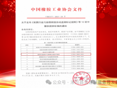 南陽膠聯(lián)時代主導(dǎo)的空氣彈簧行業(yè)標(biāo)準(zhǔn)正式落地